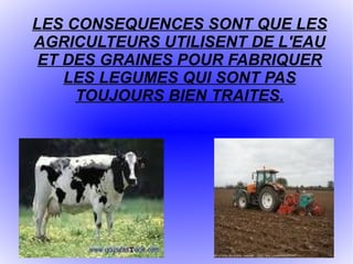 LES CONSEQUENCES SONT QUE LES AGRICULTEURS UTILISENT DE L'EAU ET DES GRAINES POUR FABRIQUER LES LEGUMES QUI SONT PAS TOUJOURS BIEN TRAITES. 