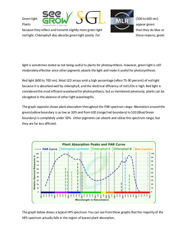 Independent Scientist Most Plants Appear Green Because