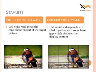LCD and LED Video Wall Comparison | PDF