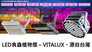 LED食蟲植物燈 – VITALUX。源自台灣
 