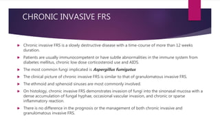 CHRONIC INVASIVE FRS
 Chronic invasive FRS is a slowly destructive disease with a time-course of more than 12 weeks
duration.
 Patients are usually immunocompetent or have subtle abnormalities in the immune system from
diabetes mellitus, chronic low dose corticosteroid use and AIDS.
 The most common fungi implicated is Aspergillus fumigatus
 The clinical picture of chronic invasive FRS is similar to that of granulomatous invasive FRS.
 The ethmoid and sphenoid sinuses are most commonly involved.
 On histology, chronic invasive FRS demonstrates invasion of fungi into the sinonasal mucosa with a
dense accumulation of fungal hyphae, occasional vascular invasion, and chronic or sparse
inflammatory reaction.
 There is no difference in the prognosis or the management of both chronic invasive and
granulomatous invasive FRS.
 