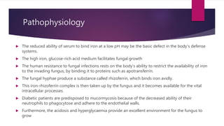 Pathophysiology
 The reduced ability of serum to bind iron at a low pH may be the basic defect in the body’s defense
systems.
 The high iron, glucose-rich acid medium facilitates fungal growth
 The human resistance to fungal infections rests on the body’s ability to restrict the availability of iron
to the invading fungus, by binding it to proteins such as apotransferrin.
 The fungal hyphae produce a substance called rhizoferrin, which binds iron avidly.
 This iron-rhizoferrin complex is then taken up by the fungus and it becomes available for the vital
intracellular processes.
 Diabetic patients are predisposed to mucormycosis because of the decreased ability of their
neutrophils to phagocytose and adhere to the endothelial walls.
 Furthermore, the acidosis and hyperglycaemia provide an excellent environment for the fungus to
grow
 