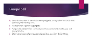 Fungal ball
 dense accumulation of extramucosal fungal hyphae, usually within one sinus, most
commonly the maxillary sinus.
 most common organism Aspergillus
 Fungal balls are seen more commonly in immunocompetent, middle-aged and
elderly females,
 often with a history of previous dental procedure, especially dental fillings.
 