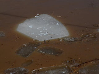 Ice floes on the weir