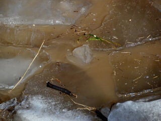 Ice floes on the weir