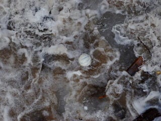 Ice floes on the weir