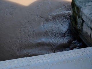 Ice floes on the weir