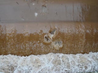 Ice floes on the weir
