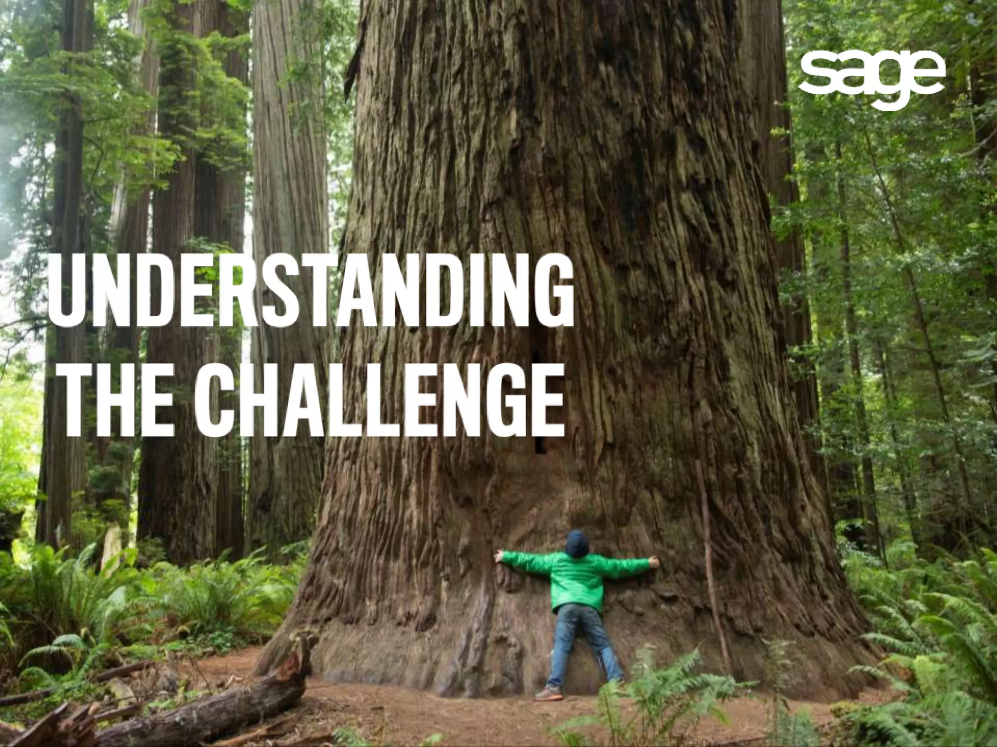 Conquer
your
challenge
 