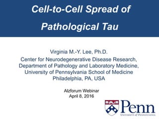 Cell-to-Cell Spread of
Pathological Tau
Virginia M.-Y. Lee, Ph.D.
Center for Neurodegenerative Disease Research,
Department of Pathology and Laboratory Medicine,
University of Pennsylvania School of Medicine
Philadelphia, PA, USA
Alzforum Webinar
April 8, 2016
 