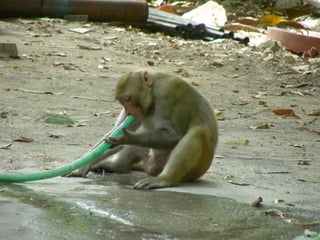 Exception pedagogique : le e learning hors-jeu