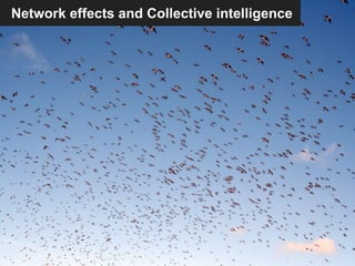 Network effects and Collective intelligence
 