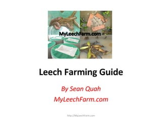 Leech Farming Guide By Sean Quah MyLeechFarm.com http://MyLeechFarm.com 