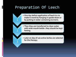 Irsal e Alaq (Leech Therapy)