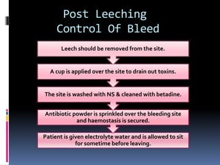 Irsal e Alaq (Leech Therapy)