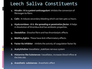 Irsal e Alaq (Leech Therapy)