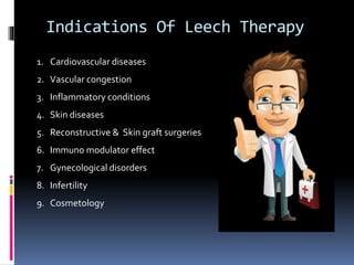 Irsal e Alaq (Leech Therapy)