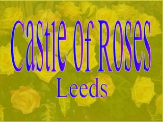 Castle of Roses Leeds 