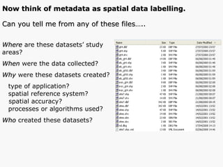 Where  are these datasets’ study  areas? When  were the data collected? Why   were these   datasets created?  type of application? spatial reference system?  spatial accuracy? processes or algorithms used? Who  created these datasets? Can you tell me from any of these files….. Now think of metadata as spatial data labelling. 