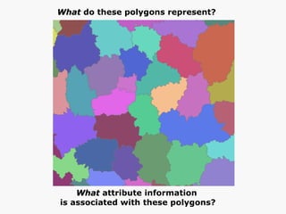 What  do these polygons represent?  What  attribute information  is associated with these polygons? 