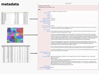 metadata 