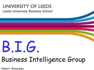 B.I.G.Business Intelligence Group CohortExcursion 