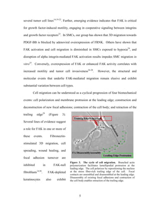 Lee Mangiante Masters Thesis