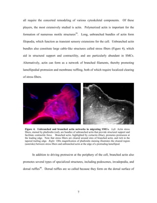 Lee Mangiante Masters Thesis