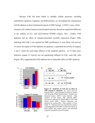 Lee Mangiante Masters Thesis