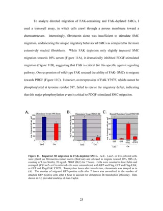 Lee Mangiante Masters Thesis
