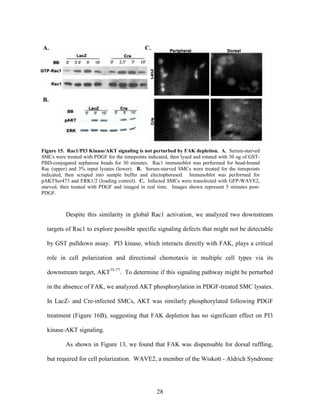 Lee Mangiante Masters Thesis