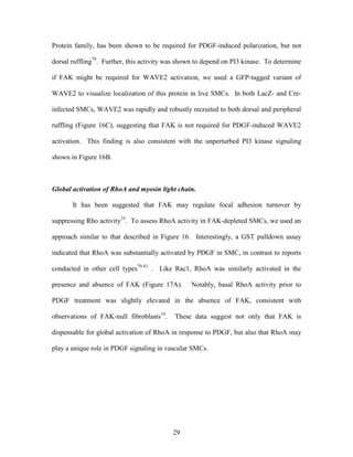 Lee Mangiante Masters Thesis