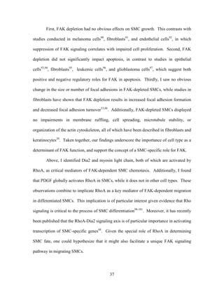 Lee Mangiante Masters Thesis