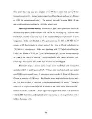 Lee Mangiante Masters Thesis