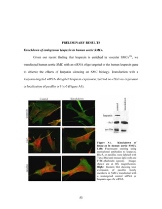 Lee Mangiante Masters Thesis