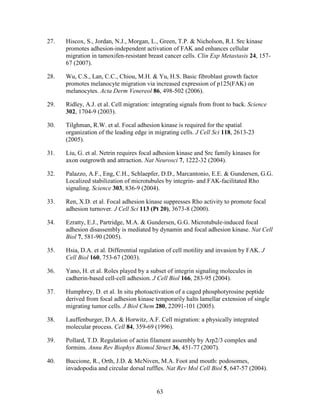 Lee Mangiante Masters Thesis