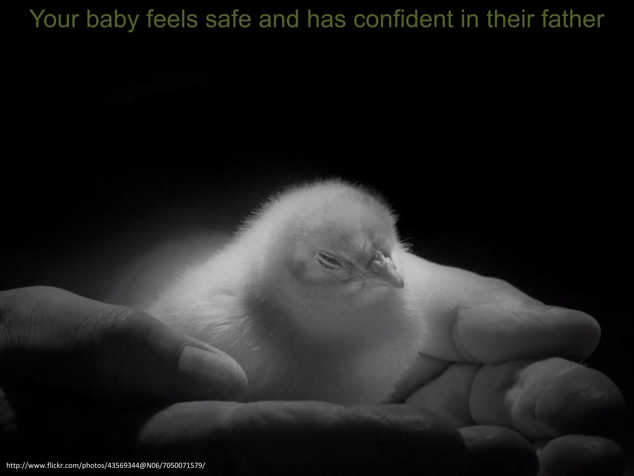 http://www.flickr.com/photos/43569344@N06/7050071579/
Your baby feels safe and has confident in their father
 