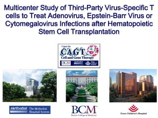 Multicenter Study of Third-Party Virus-Specific T
cells to Treat Adenovirus, Epstein-Barr Virus or
Cytomegalovirus Infections after Hematopoietic
Stem Cell Transplantation
 