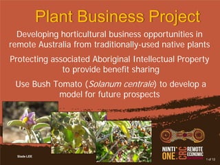 Slade LEE
Developing horticultural business opportunities in
remote Australia from traditionally-used native plants
Protecting associated Aboriginal Intellectual Property
to provide benefit sharing
Use Bush Tomato (Solanum centrale) to develop a
model for future prospects
1 of 12
Plant Business Project
 