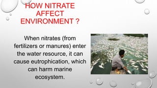 HOW NITRATE
AFFECT
ENVIRONMENT ?
When nitrates (from
fertilizers or manures) enter
the water resource, it can
cause eutrophication, which
can harm marine
ecosystem.
 