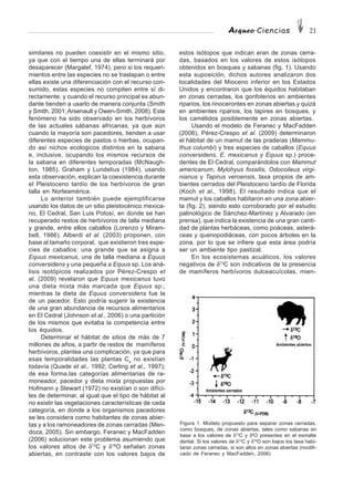 Arqueo·Ciencias 21
similares no pueden coexistir en el mismo sitio,
ya que con el tiempo una de ellas terminará por
desaparecer (Margalef, 1974), pero si los requeri-
mientos entre las especies no se traslapan o entre
ellas existe una diferenciación con el recurso con-
sumido, estas especies no compiten entre sí di-
rectamente, y cuando el recurso principal es abun-
dante tienden a usarlo de manera conjunta (Smith
y Smith, 2001; Arsenault y Owen-Smith, 2008). Este
fenómeno ha sido observado en los herbívoros
de las actuales sábanas africanas, ya que aún
cuando la mayoría son pacedores, tienden a usar
diferentes especies de pastos o hierbas, ocupan-
do así nichos ecologicos distintos en la sabana
e, inclusive, ocupando los mismos recursos de
la sabana en diferentes temporadas (McNaugh-
ton, 1985). Graham y Lundelius (1984), usando
esta observación, explican la coexistencia durante
el Pleistoceno tardío de los herbívoros de gran
talla en Norteamérica.
Lo anterior también puede ejemplificarse
usando los datos de un sitio pleistocénico mexica-
no, El Cedral, San Luis Potosí, en donde se han
recuperado restos de herbívoros de talla mediana
y grande, entre ellos caballos (Lorenzo y Miram-
bell, 1986). Alberdi et al. (2003) proponen, con
base al tamaño corporal, que existieron tres espe-
cies de caballos: una grande que se asigna a
Equus mexicanus, una de talla mediana a Equus
conversidens y una pequeña a Equus sp. Los aná-
lisis isotópicos realizados por Pérez-Crespo et
al. (2009) revelaron que Equus mexicanus tuvo
una dieta mixta más marcada que Equus sp.,
mientras la dieta de Equus conversidens fue la
de un pacedor. Esto podría sugerir la existencia
de una gran abundancia de recursos alimentarios
en El Cedral (Johnson et al., 2006) o una partición
de los mismos que evitaba la competencia entre
los équidos.
Determinar el hábitat de sitios de más de 7
millones de años, a partir de restos de mamíferos
herbívoros, plantea una complicación, ya que para
esas temporalidades las plantas C4
no existían
todavía (Quade et al., 1992; Cerling et al., 1997);
de esa forma,las categorías alimentarias de ra-
moneador, pacedor y dieta mixta propuestas por
Hofmann y Stewart (1972) no existían o son difíci-
les de determinar, al igual que el tipo de hábitat al
no existir las vegetaciones características de cada
categoría, en donde a los organismos pacedores
se les considera como habitantes de zonas abier-
tas y a los ramoneadores de zonas cerradas (Men-
doza, 2005). Sin embargo, Feranec y MacFadden
(2006) solucionan este problema asumiendo que
los valores altos de δ13
C y δ18
O señalan zonas
abiertas, en contraste con los valores bajos de
estos isótopos que indican eran de zonas cerra-
das, basados en los valores de estos isótopos
obtenidos en bosques y sabanas (fig. 1). Usando
esta suposición, dichos autores analizaron dos
localidades del Mioceno inferior en los Estados
Unidos y encontraron que los équidos habitaban
en zonas cerradas, los gonfoterios en ambientes
riparios, los rinocerontes en zonas abiertas y quizá
en ambientes riparios, los tapires en bosques, y
los camélidos posiblemente en zonas abiertas.
Usando el modelo de Feranec y MacFadden
(2006), Pérez-Crespo et al. (2009) determinaron
el hábitat de un mamut de las praderas (Mammu-
thus columbi) y tres especies de caballos (Equus
conversidens, E. mexicanus y Equus sp.) proce-
dentes de El Cedral, comparándolos con Mammut
americanum, Mylohyus fossilis, Odocoileus virgi-
nianus y Tapirus veroensis, taxa propios de am-
bientes cerrados del Pleistoceno tardío de Florida
(Koch et al., 1998). El resultado indica que el
mamut y los caballos habitaron en una zona abier-
ta (fig. 2), siendo esto corroborado por el estudio
palinológico de Sánchez-Martínez y Alvarado (en
prensa), que indica la existencia de una gran canti-
dad de plantas herbáceas, como poáceas, asterá-
ceas y quenopodiáceas, con pocos árboles en la
zona, por lo que se infiere que esta área podría
ser un ambiente tipo pastizal.
En los ecosistemas acuáticos, los valores
negativos de δ13
C son indicativos de la presencia
de mamíferos herbívoros dulceacuícolas, mien-
Figura 1. Modelo propuesto para separar zonas cerradas,
como bosques, de zonas abiertas, tales como sabanas en
base a los valores de δ13
C y δ8
O presentes en el esmalte
dental. Si los valores de δ13
C y δ18
O son bajos los taxa habi-
taran zonas cerradas, si son altos en zonas abiertas (modifi-
cado de Feranec y MacFadden, 2006)
 