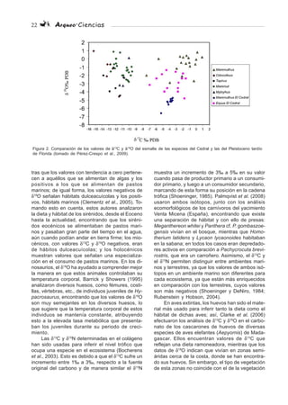 22 Arqueo·Ciencias
tras que los valores con tendencia a cero pertene-
cen a aquéllos que se alimentan de algas y los
positivos a los que se alimentan de pastos
marinos; de igual forma, los valores negativos de
δ18
O señalan hábitats dulceacuícolas y los positi-
vos, hábitats marinos (Clementz et al., 2005). To-
mando esto en cuenta, estos autores analizaron
la dieta y hábitat de los sirénidos, desde el Eoceno
hasta la actualidad, encontrando que los siréni-
dos eocénicos se alimentaban de pastos mari-
nos y pasaban gran parte del tiempo en el agua,
aún cuando podían andar en tierra firme; los mio-
cénicos, con valores δ13
C y δ18
O negativos, eran
de hábitos dulceacuícolas; y los holocénicos
muestran valores que señalan una especializa-
ción en el consumo de pastos marinos. En los di-
nosaurios, el δ18
O ha ayudado a comprender mejor
la manera en que estos animales controlaban su
temperatura corporal. Barrick y Showers (1995)
analizaron diversos huesos, como fémures, costi-
llas, vértebras, etc., de individuos juveniles de Hy-
pacrosaurus, encontrando que los valores de δ18
O
son muy semejantes en los diversos huesos, lo
que sugiere que la temperatura corporal de estos
individuos se mantenía constante, atribuyendo
esto a la elevada tasa metabólica que presenta-
ban los juveniles durante su periodo de creci-
miento.
Las δ13
C y δ15
N determinadas en el colágeno
han sido usadas para inferir el nivel trófico que
ocupa una especie en el ecosistema (Bocherens
et al., 2003). Esto es debido a que el δ13
C sufre un
incremento entre 1‰ a 3‰, respecto a la fuente
original del carbono y de manera similar el δ15
N
muestra un incremento de 3‰ a 5‰ en su valor
cuando pasa de productor primario a un consumi-
dor primario, y luego a un consumidor secundario,
marcando de esta forma su posición en la cadena
trófica (Shoeninger, 1985). Palmqvist et al. (2008)
usaron ambos isótopos, junto con los análisis
ecomorfológicos de los carnívoros del yacimiento
Venta Micena (España), encontrando que existe
una separación de hábitat y con ello de presas:
Meganthereon whitei y Panthera cf. P. gombaszoe-
gensis vivían en el bosque, mientras que Homo-
therium latidens y Lycaon lycaonoides habitaban
en la sabana; en todos los casos eran depredado-
res activos en comparación a Pachycrocuta brevi-
rostris, que era un carroñero. Asimismo, el δ13
C y
el δ15
N permiten distinguir entre ambientes mari-
nos y terrestres, ya que los valores de ambos isó-
topos en un ambiente marino son diferentes para
cada ecosistema, ya que están más enriquecidos
en comparación con los terrestres, cuyos valores
son más negativos (Shoeninger y DeNiro, 1984;
Rubenstein y Hobson, 2004).
En aves extintas, los huevos han sido el mate-
rial más usado para inferir tanto la dieta como el
hábitat de dichas aves; así, Clarke et al. (2006)
efectuaron los análisis de δ13
C y δ18
O en el carbo-
nato de los cascarones de huevos de diversas
especies de aves elefantes (Aepyornis) de Mada-
gascar. Ellos encuentran valores de δ13
C que
reflejan una dieta ramoneadora, mientras que los
datos de δ18
O indican que vivían en zonas semi-
áridas cerca de la costa, donde se han encontra-
do sus huevos. Sin embargo, el tipo de vegetación
de esta zonas no coincide con el de la vegetación
Figura 2. Comparación de los valores de ä13
C y ä18
O del esmalte de las especies del Cedral y las del Pleistoceno tardío
de Florida (tomado de Pérez-Crespo et al., 2009).
 