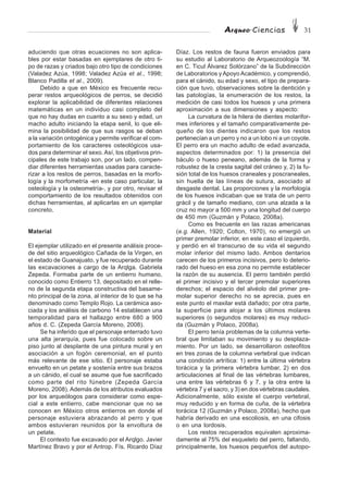 Arqueo·Ciencias 31
aduciendo que otras ecuaciones no son aplica-
bles por estar basadas en ejemplares de otro ti-
po de razas y criados bajo otro tipo de condiciones
(Valadez Azúa, 1998; Valadez Azúa et al., 1998;
Blanco Padilla et al., 2009).
Debido a que en México es frecuente recu-
perar restos arqueológicos de perros, se decidió
explorar la aplicabilidad de diferentes relaciones
matemáticas en un individuo casi completo del
que no hay dudas en cuanto a su sexo y edad, un
macho adulto iniciando la etapa senil, lo que eli-
mina la posibilidad de que sus rasgos se deban
a la variación ontogénica y permite verificar el com-
portamiento de los caracteres osteológicos usa-
dos para determinar el sexo. Así, los objetivos prin-
cipales de este trabajo son, por un lado, compen-
diar diferentes herramientas usadas para caracte-
rizar a los restos de perros, basadas en la morfo-
logía y la morfometría -en este caso particular, la
osteología y la osteometría-, y por otro, revisar el
comportamiento de los resultados obtenidos con
dichas herramientas, al aplicarlas en un ejemplar
concreto.
Material
El ejemplar utilizado en el presente análisis proce-
de del sitio arqueológico Cañada de la Virgen, en
el estado de Guanajuato, y fue recuperado durante
las excavaciones a cargo de la Arqlga. Gabriela
Zepeda. Formaba parte de un entierro humano,
conocido como Entierro 13, depositado en el relle-
no de la segunda etapa constructiva del basame-
nto principal de la zona, al interior de lo que se ha
denominado como Templo Rojo. La cerámica aso-
ciada y los análisis de carbono 14 establecen una
temporalidad para el hallazgo entre 680 a 900
años d. C. (Zepeda García Moreno, 2008).
Se ha inferido que el personaje enterrado tuvo
una alta jerarquía, pues fue colocado sobre un
piso junto al desplante de una pintura mural y en
asociación a un fogón ceremonial, en el punto
más relevante de ese sitio. El personaje estaba
envuelto en un petate y sostenía entre sus brazos
a un cánido, el cual se asume que fue sacrificado
como parte del rito fúnebre (Zepeda García
Moreno, 2008). Además de los atributos evaluados
por los arqueólogos para considerar como espe-
cial a este entierro, cabe mencionar que no se
conocen en México otros entierros en donde el
personaje estuviera abrazando al perro y que
ambos estuvieran reunidos por la envoltura de
un petate.
El contexto fue excavado por el Arqlgo. Javier
Martínez Bravo y por el Antrop. Fís. Ricardo Díaz
Díaz. Los restos de fauna fueron enviados para
su estudio al Laboratorio de Arqueozoología “M.
en C. Ticul Álvarez Solórzano” de la Subdirección
de Laboratorios y Apoyo Académico, y comprendió,
para el cánido, su edad y sexo, el tipo de prepara-
ción que tuvo, observaciones sobre la dentición y
las patologías, la enumeración de los restos, la
medición de casi todos los huesos y una primera
aproximación a sus dimensiones y aspecto:
La curvatura de la hilera de dientes molarifor-
mes inferiores y el tamaño comparativamente pe-
queño de los dientes indicaron que los restos
pertenecían a un perro y no a un lobo ni a un coyote.
El perro era un macho adulto de edad avanzada,
aspectos determinados por: 1) la presencia del
báculo o hueso peneano, además de la forma y
robustez de la cresta sagital del cráneo y, 2) la fu-
sión total de los huesos craneales y poscraneales,
sin huella de las líneas de sutura, asociado al
desgaste dental. Las proporciones y la morfología
de los huesos indicaban que se trata de un perro
grácil y de tamaño mediano, con una alzada a la
cruz no mayor a 500 mm y una longitud del cuerpo
de 450 mm (Guzmán y Polaco, 2008a).
Como es frecuente en las razas americanas
(e.g. Allen, 1920; Colton, 1970), no emergió un
primer premolar inferior, en este caso el izquierdo,
y perdió en el transcurso de su vida el segundo
molar inferior del mismo lado. Ambos dentarios
carecen de los primeros incisivos, pero lo deterio-
rado del hueso en esa zona no permite establecer
la razón de su ausencia. El perro también perdió
el primer incisivo y el tercer premolar superiores
derechos; el espacio del alvéolo del primer pre-
molar superior derecho no se aprecia, pues en
este punto el maxilar está dañado; por otra parte,
la superficie para alojar a los últimos molares
superiores (o segundos molares) es muy reduci-
da (Guzmán y Polaco, 2008a).
El perro tenía problemas de la columna verte-
bral que limitaban su movimiento y su desplaza-
miento. Por un lado, se desarrollaron osteofitos
en tres zonas de la columna vertebral que indican
una condición artrítica: 1) entre la última vértebra
torácica y la primera vértebra lumbar, 2) en dos
articulaciones al final de las vértebras lumbares,
una entre las vértebras 6 y 7, y la otra entre la
vértebra 7 y el sacro, y 3) en dos vértebras caudales.
Adicionalmente, sólo existe el cuerpo vertebral,
muy reducido y en forma de cuña, de la vértebra
torácica 12 (Guzmán y Polaco, 2008a), hecho que
habría derivado en una escoliosis, en una cifosis
o en una lordosis.
Los restos recuperados equivalen aproxima-
damente al 75% del esqueleto del perro, faltando,
principalmente, los huesos pequeños del autopo-
 