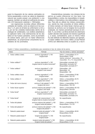 Arqueo·Ciencias 35
parar la dispersión de los valores estimados en
forma equiparable a como se valora la dispersión
natural que puede poseer una población o una
especie, también se calculó el coeficiente de varia-
ción (CV=desviación estándar x 100/media).
Las regresiones reunidas utilizan diferentes
unidades de medida, como se observa en los cua-
dros 1 y 4, pero en el texto se uniformaron a mm y
g, por ser las unidades tradicionales dentro de la
zoología de vertebrados. Los análisis estadísticos
se aplicaron tanto a las estimaciones de los dos
lados en los huesos pareados, como al promedio
de ambos lados, pero por no haber diferencias
estadísticas, se proporcionan únicamente los re-
sultados de los promedios.
Características craneales. Los cráneos de los
perros se suelen diferenciar en tres tipos: los
braquicéfalos o cortos, los mesocéfalos (o mesati-
cefálos) o intermedios y los dolicocéfalos o alarga-
dos. Para ello se utilizan los índices craneométri-
cos, siendo los más conocidos el índice cefálico,
el índice craneal y el índice facial, mismos que re-
lacionan la anchura con la longitud de la porción
analizada, de manera porcentual (aunque el sím-
bolo, %, se omite). Los libros de texto de veterinaria
suelen abordar este aspecto de manera superficial
y, a veces, contradictoria, pues un mismo índice
ha sido definido de diferente manera; por ejemplo,
el índice cefálico de Evans (1993) y el de Piérard
(1972) son diferentes entre sí (cuadro 2), o los lí-
Índice Fórmula Tipo de cráneo y valores asociadosA
1. Índice cefálico (total) anchura cigomática30
x 100 Dolico- y mesocéfalos 51-71
longitud total1
Braquicéfalos 70-89
Valores extremosF
: dolicocéfalo: 50;
mesocéfalo: 70 y 75; braquicéfalo: 90.
1.’ Índice cefálicoB, C
anchura cigomática30
x 100 Dolicocéfalo: promedio 39 B
longitud total en el plano horizontal44
Mesocéfalo: promedio 52 B
Braquicéfalo: promedio 81 B
1.’’ Índice cefálicoD
anchura cigomática30
x 100 Dolicocéfalo: <50
longitud 2 del cráneo43
Mesocéfalo: 50
Braquicéfalo: >50
2. Índice cefálico basal anchura cigomática30
x 100 Dolico- y mesocéfalos 57-66
longitud basal3
Braquicéfalos 102-107
3. Índice cefálico 3 anchura cigomática30
x 100 Dolico- y mesocéfalos 45-70
longitud del cráneoα
Braquicéfalos 71-101
4. Índice del morro (hocico) anchura 3 del paladar36
x 100 Dolico- y mesocéfalos 53-75
longitud del morroJ
Braquicéfalos 155-183
5. Índice facial superior anchura máxima del paladar34
x 100 Dolico- y mesocéfalos 85-103
longitud 2 del nasalK
Braquicéfalos 244-434
5.’ Índice facialB
anchura cigomática30
x 100 Dolicocéfalo: promedio 81
longitud viscerocráneo8
Mesocéfalo: promedio 111
Braquicéfálo: promedio 215
5.’’ Índice facialC
longitud del viscerocráneo8
x 100 No especificados
longitud total en el plano horizontal44
6. Índice del paladar anchura máxima del paladar34
x 100 Dolico- y mesocéfalos 57-70
longitud media del paladar13
Braquicéfalos 115-125
6.’ Índice del paladar 2E
anchura máxima del paladar34
x 100 No especificados
longitud del paladar13a
7. Relación palato-basal longitud media del paladar13
x 100 Dolico- y mesocéfalos 48-54
longitud basal3
Braquicéfalos 54-60
7.’ Relación palato-basal 2E
longitud del paladar13a
x 100 No especificados
longitud basal3
8. Relación palato-palatino longitud media del palatino14
x 100 Dolico- y mesocéfalos 32-36
longitud media del paladar13
Braquicéfalos 31-39
Cuadro 2. Índices craneométricos y mandibulares para caracterizar el tipo de cráneo de los perros.
 