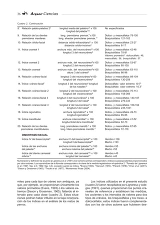 36 Arqueo·Ciencias
8.’ Relación palato-palatino 2E
longitud media del palatino14
x 100 No especificados
longitud del paladar13a
9. Relación de los dientes long. premolares premax.P
x100 Dolico- y mesocéfalos 78-100
premolares maxilares long. alveolar premolares premax.17
Braquicéfalos 121-162
10. Relación órbito-facial distancia orbito-infraorbitariaN
x 100 Dolico- y mesocéfalos 23-27
distancia orbito-incisivaO
Braquicéfalos 8-17
11. Índice craneal 1 anchura máx. del neurocráneo29
x100 Dolico- y mesocéfalos 42-48
longitud 3 del neurocráneoE
Braquicéfalos 70-81
Valores promedioB
: dolicocéfalo: 48,
mesocéfalo: 56, braquicéfalo: 57.
12. Índice craneal 2 anchura máx. del neurocráneo29
x100 Dolico- y mesocéfalos 53-67
longitud 2 del neurocráneoβ
Braquicéfalos 80-105
13. Relación craneal anchura máx. del neurocráneo29
x100 Dolico- y mesocéfalos 83-110
altura 3 del cráneoM
Braquicéfalos 86-96
14. Relación cráneo-facial longitud 3 del neurocráneoE
x100 Dolico- y mesocéfalos 89-104
longitud del viscerocráneo8
Braquicéfalos 130-258
14.’ Índice cráneo-facialF
longitud 3 del neurocráneoE
:longitud Dolicocéfalo: valor extremo 10:7F
de los nasales10
Braquicéfalo: valor extremo 10:3F
15. Relación cráneo-facial 2 longitud 2 del neurocráneoβ
x 100 Dolico- y mesocéfalos 70-113
longitud del viscerocráneo8
Braquicéfalos 158-366
16. Relación cráneo-facial 3 longitud 3 del neurocráneoE
x 100 Dolico- y mesocéfalos 143-167
longitud 2 del nasalK
Braquicéfalos 276-333
17. Relación cráneo-facial 4 longitud 2 del neurocráneoβ
x 100 Dolico- y mesocéfalos 109-164
longitud 2 del nasalK
Braquicéfalos 235-1031
18. Índice cigomático anchura cigomática30
x 100 Dolico- y mesocéfalos 49-73
longitud cigomáticaR
Braquicéfalos 65-85
19. Índice mandibular anchura intercondilarS
x 100 Dolico- y mesocéfalos 41-52
longitud total de la mandíbula1
Braquicéfalos 62-73
20. Relación de los dientes long. premolares mandib.U
x 100 Dolico- y mesocéfalos 67-95
premolares mandibulares long. hilera premolares mandib.V
Braquicéfalos 72-118
DIMORFISMO SEXUAL
Índice IV del basioccipitalG
anchura IV del basioccipital45
x 100 Hembra >136
longitud II del basioccipital44
Macho <123
Índice de las anchuras anchura mínima del paladar35
x 100 Hembra >55
del paladarH
anchura máxima del paladar34
Macho <53
Índice del diente carnasial anchura máx. del carnasial18a
x 100 Hembra >45
inferior H
longitud del carnasial18
Macho <45
Cuadro 2. Continuación
Numeración y definición de acuerdo a Lignereux et al. (1991); los números primas corresponden a índices cuasiequivalentes proporcionados
por otros autores. Los supraíndices de la fórmula corresponden a la clave de la medida registrada en el apéndice 2. A
Tomado de Lignereux
et al. (1991: figs. 2-3; 1992: figs. 3-4), excepto cuando se indica. B
Evans (1993), C
Harcourt (1974), D
Piérard (197B), E
Onar et al. (2001),
F
Sisson y Grossman (1965), G
Trouth et al. (1977), H
Monterroso Rivas (2004).
mites para cada tipo de cráneo son ambiguos, ya
que, por ejemplo, se proporcionan únicamente los
valores promedios (Evans, 1993) o los valores ex-
tremos (Sisson y Grossman, 1965), faltando el in-
tervalo para cada clase (cuadro 2). Estas situa-
ciones podrían haber influido en la baja incorpora-
ción de los índices en el análisis de los restos de
perros.
Los índices utilizados en el presente estudio
(cuadro 2) fueron recopilados por Lignereux y cole-
gas (1991), quienes proporcionan los puntos cra-
neales de referencia y establecen las medidas,
los cocientes y los intervalos de valores para dos
tipos de cráneos, los braquicéfalos y los meso- a
dolicocéfalos; estos índices fueron complementa-
dos con los de otros autores que hubiesen des-
 