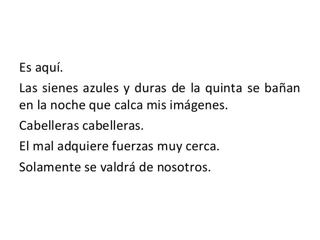 Leer y escribir poemas tomando como referente los