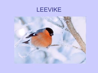 Leevike PPT leevike-ppt