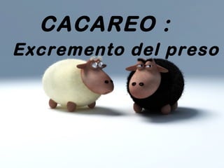 CACAREO :
Excremento del preso
 