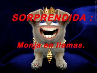 SORPRENDIDA :

Monja en llamas.
 