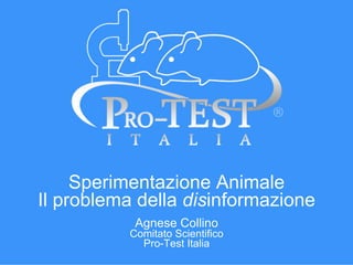 Sperimentazione Animale
Il problema della disinformazione
Agnese Collino

Comitato Scientifico
Pro-Test Italia

 